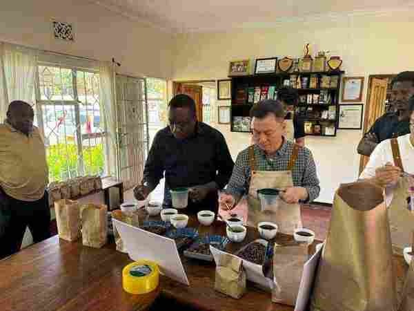 Quality Officers Complete Advanced Cupping Training